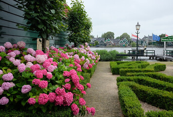 Flowers and maze in a small park