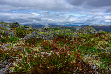 Khibiny Mountains. Ski resort- Arctic region of Russia is a popular hiking trail