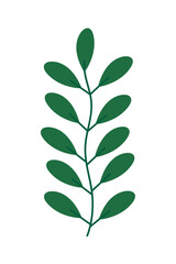 nature leaf icon