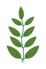 leaf plant icon