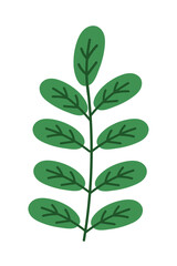Fototapeta premium green natural leaf