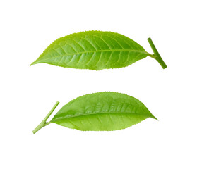 Obraz premium Tea leaf isolated on transparent png background