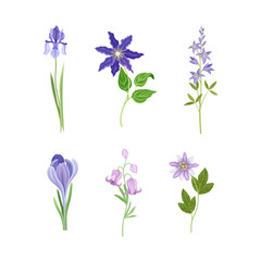 Fototapeta na wymiar Purple Flower or Delicate Blossom on Green Leafy Stem Vector Set
