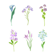 Purple Flower or Delicate Blossom on Green Leafy Stem Vector Set