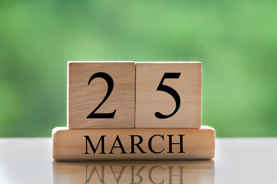 March 25 calendar date text on wooden blocks with blurred park background. Copy space and calendar concept