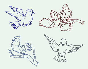 set of doves vector for card illustration decoration