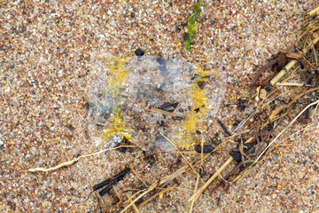 Alien Object on the Beach 21