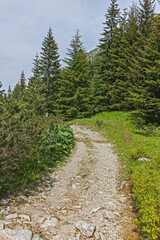 Fototapeta na wymiar Landscape of Rila Mountain near Malyovitsa peak, Bulgaria