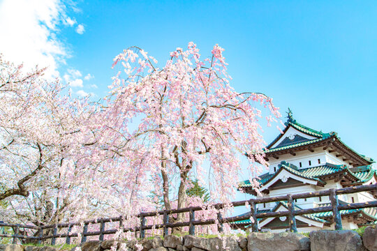 Sky, Tree, Hirosaki Castle