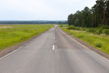 Fototapeta na wymiar Country asphalt road on the border of forest and field. Summer rural landscape in gloomy day