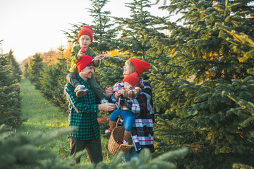 A young beautiful family chooses a Christmas tree in the market. Festive winter holidays for...