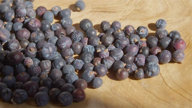 Collected berries of Juniper fall into a wooden bowl, Jupniperus communis