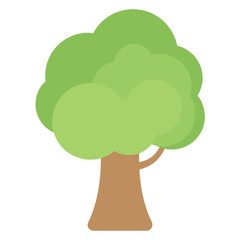 Beech Tree