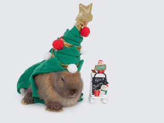 Cute brown rabbit wearing Christmas costume as Christmas tree sitting next to Xmas decoration on white background.
