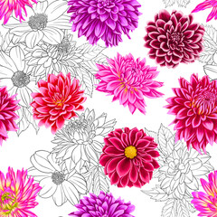 seamless pattern with drawing flowers of red and pink dahlia and green leaves at white background , hand drawn botanical illustration