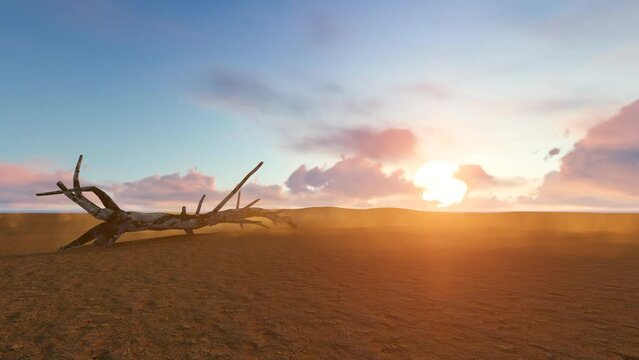 sunset in desert with light wind
