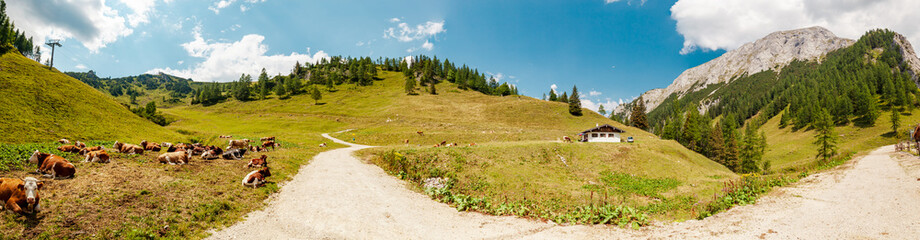 panoramic web banner of landscape at mountain Jenner, route Mitterkaseralm. Berchtesgadener Land, Bavaria, Germany