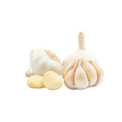 Fresh Organic Garlic Bulbs and Garlic Cloves (Allium sativum) isolated on white background. concept Herbal and Vegetable extracts are medications for Reduce heart disease risk and relieve colds.