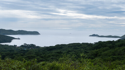Fototapeta premium Beautiful seascape with pine trees near peninsula Gamow, Russia, Primorsky krai