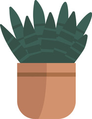 cactus plant in a minimalist style pot.