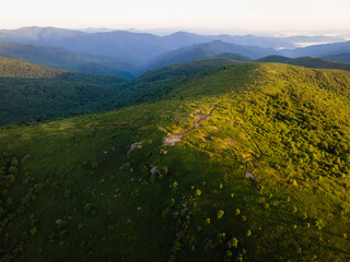 Aerial View of Black Balsam in the Pisgah National Forest in North Carolina at Sunrise - obrazy, fototapety, plakaty