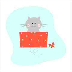 Cat in box. Gray kitten sits in a red gift box