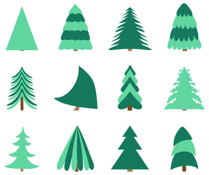 Collection of Christmas trees. different Christmas trees without decorations