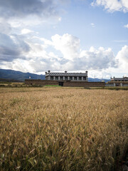 Traditional Tibetan house with golden rye fields and cloudy sky