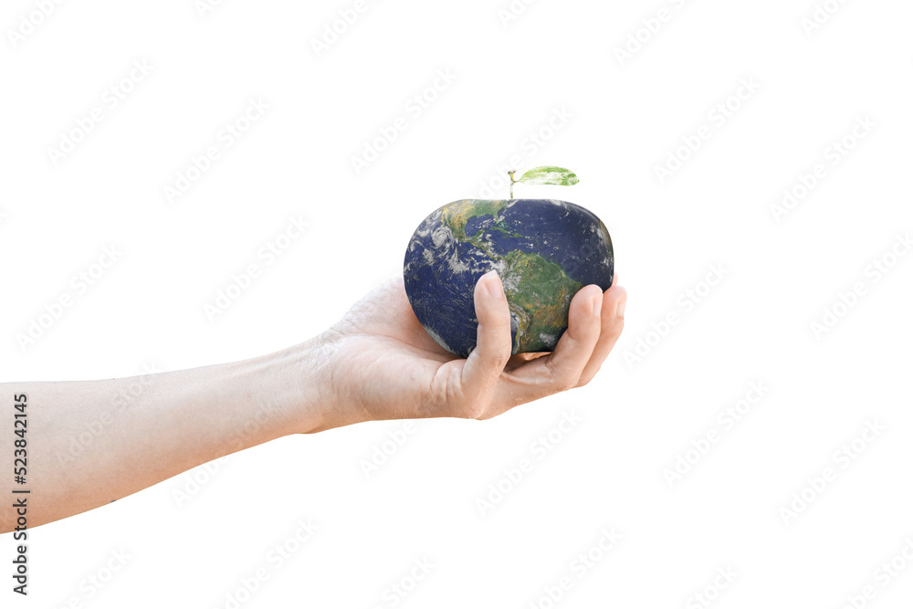 Canvas Prints apple earth in hand on transparent background - png format. elements of this image furnished by nasa