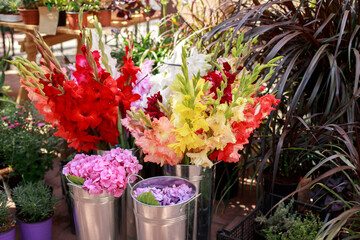 Fototapeta na wymiar Multi-colored flowers red, pink, yellow, white, orange. Wholesale florist base, flower shop