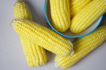 Maize shell for cooking. Top view