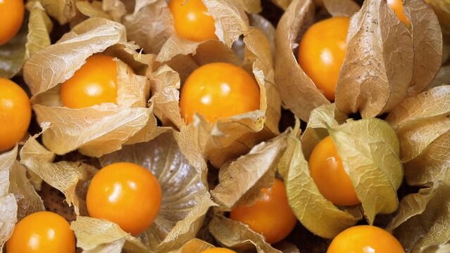 Zoom out macro of physalis rotating.