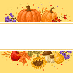 Background with autumn plants. Harvest illustration of vegetables and leaves.