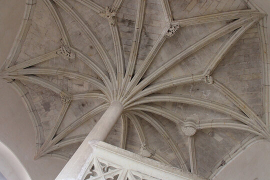 gothic castle in baug&eacute; (france) 