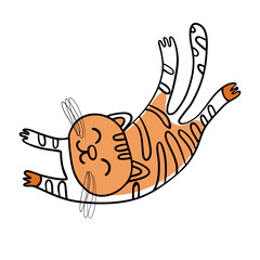 Ginger cat isolated on a white background