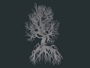 Obraz premium tree with roots