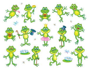 Collection of funny frogs in various poses and situations. In cartoon style. Isolated on white background. Vector illustration