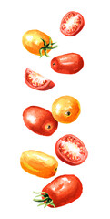 Falling Fresh ripe red and yellow cherry tomatoes. Hand drawn watercolor illustration, isolated on white background