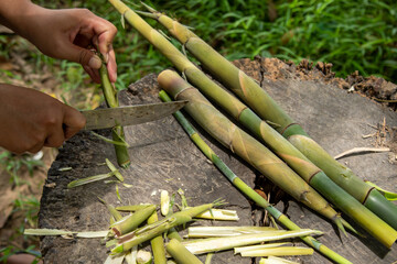 Fototapeta premium close up, hand woman is peeling bamboo shoots