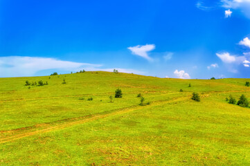 Obraz premium Mountain landscape during summer day at Zlatibor, Serbia.