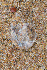 Alien Object on the Beach 22