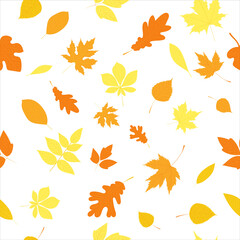 Fototapeta na wymiar seamless white background with autumn leaves, vector