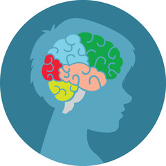 Illustration of boy with brain lobes of different colors on white background. Dyslexia concept - obrazy, fototapety, plakaty