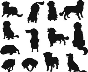 Retriever dog poses dog breed isolated Vector Silhouettes