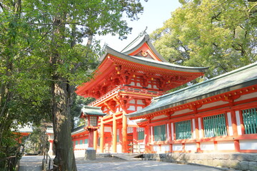 Obraz premium Shinto shrine, Japanese architecture, Hikawa Shrine