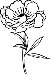 Line flower and Botanical leaves illustration