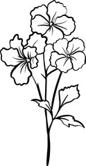 Line flower and Botanical leaves illustration
