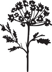 Line flower and Botanical leaves illustration