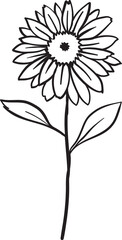 Line flower and Botanical leaves illustration