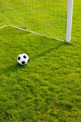 soccer ball and pitch